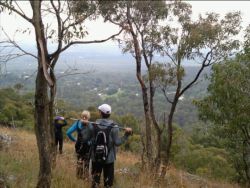 View from Mt Towrong