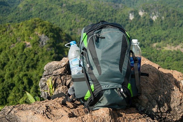 Backpack with water bottles sitting on a ledge overlooking a forest