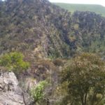 Werribee Gorge - Looking into the Gorge
