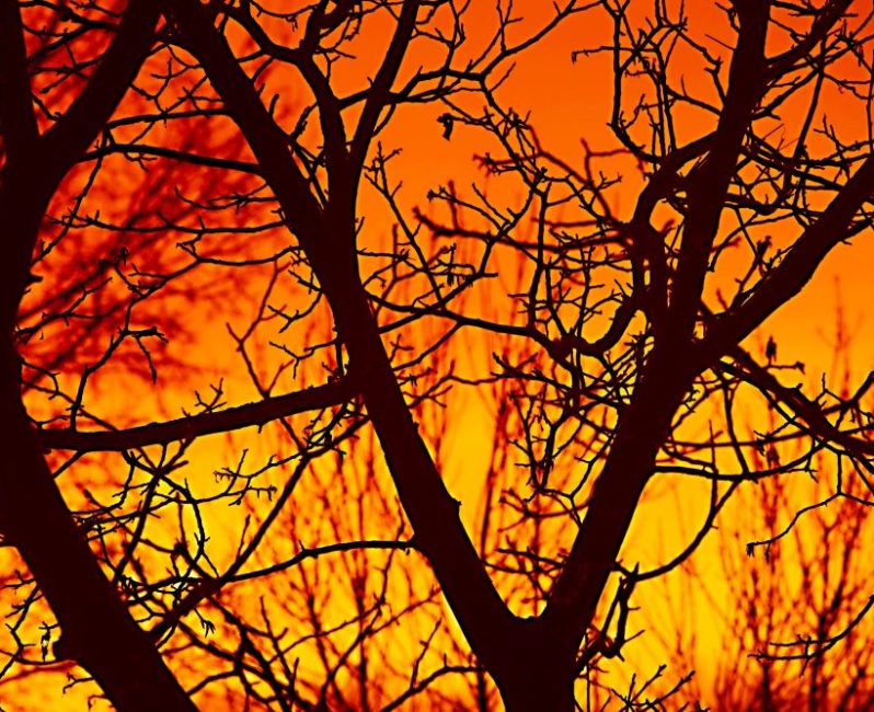 Bushfires - how to hike safely during bushfire season