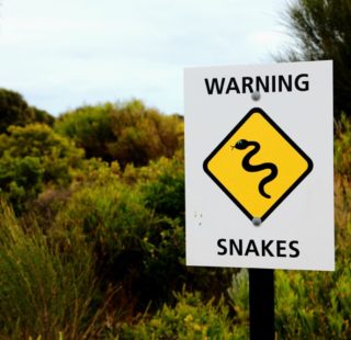 Snakes! A sign warning of snakes in the area