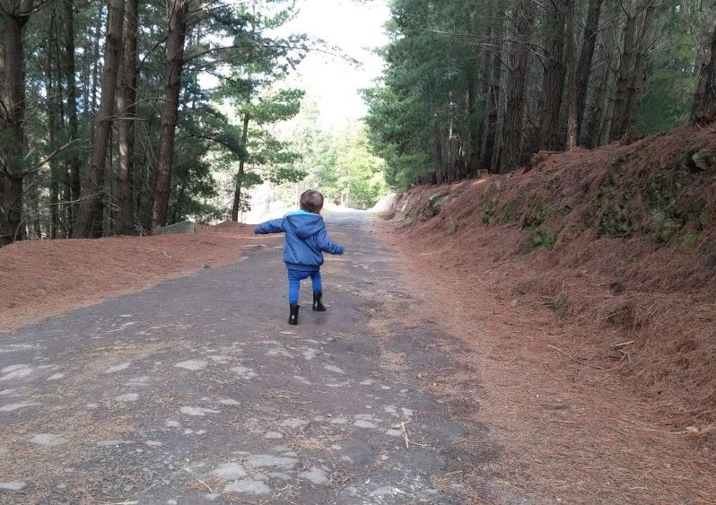 Happiness is a mountain path - little boy skipping through the woods on a sealed path